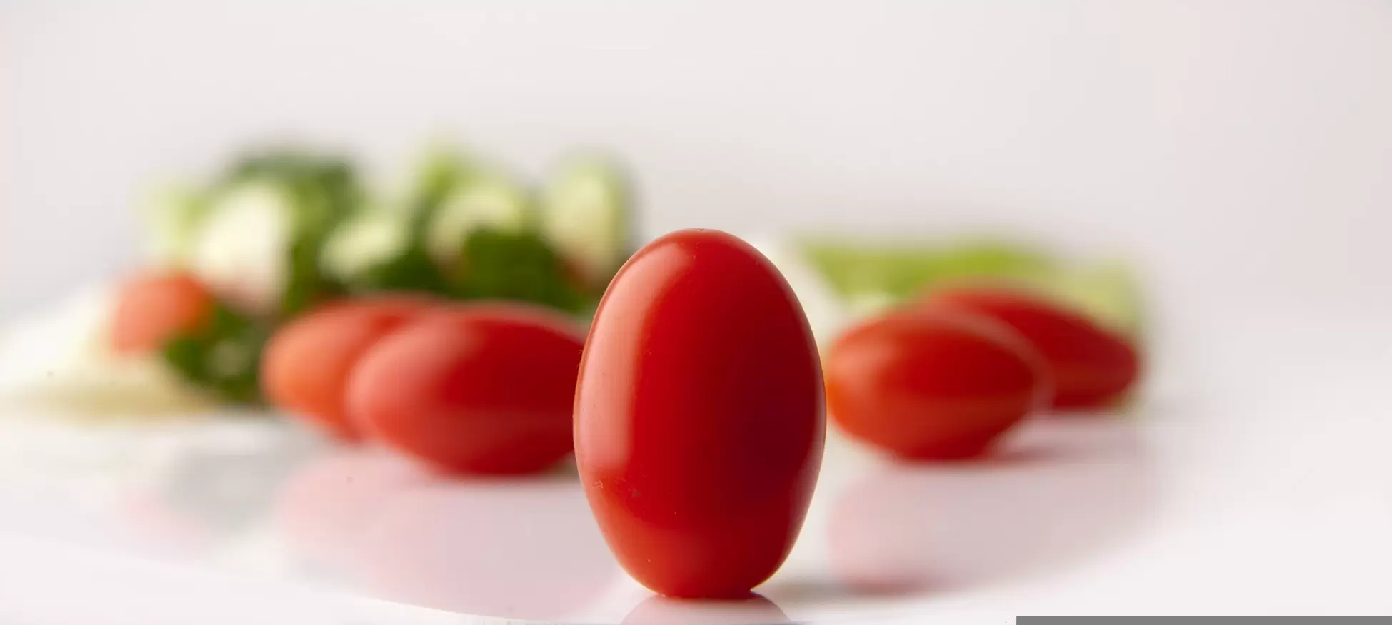 tomatoes
